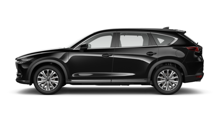 Jet Black Mica